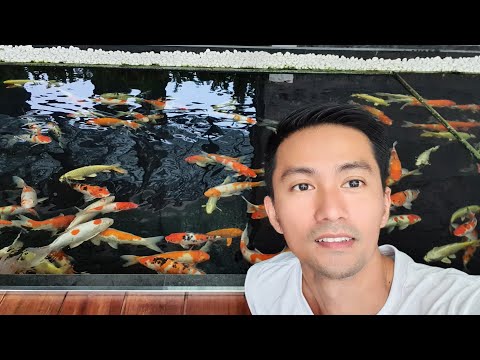 Tiền Sẽ Có Nhiều Hơn Nếu Biết Điều Này