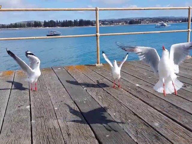 ĐẤT NƯỚC đáng sống nhất