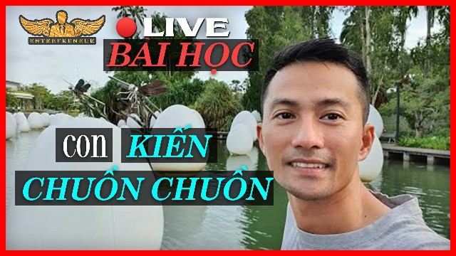 Kinh Doanh Phát Triển Bản Thân : Con Kiến và Chuồn Chuồn | Lò Khởi Nghiệp