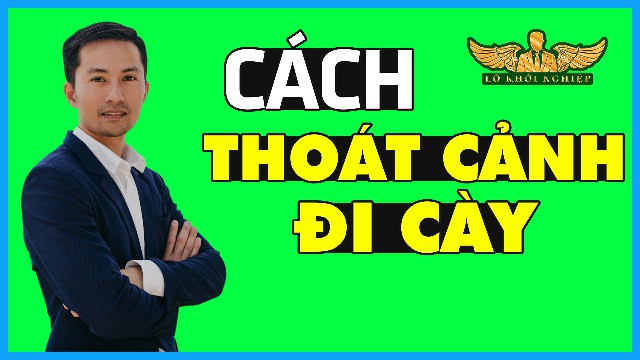 THOÁT KIẾP TRÂU, NGỰA (dành cho bạn ở Mỹ, Úc) | Lò Khởi Nghiệp
